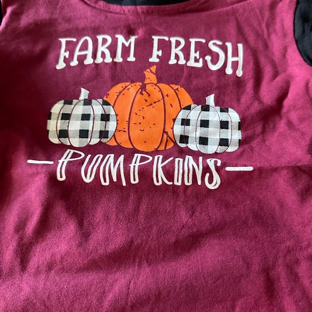 NWT Boys Farm Fresh Pumpkins Shirt w/Raglan Sleeves & Elbow Patch Size 0-3 month - Picture 4 of 6